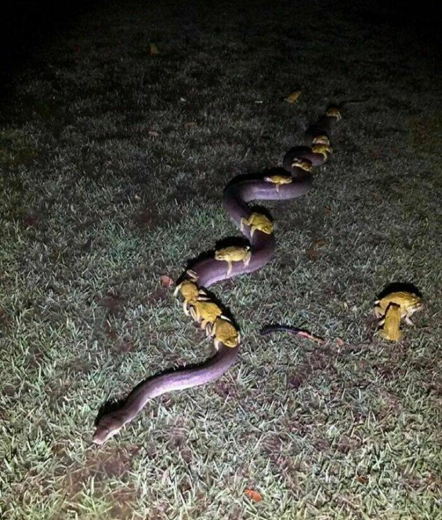 What Is Going On Here? (24 pics)