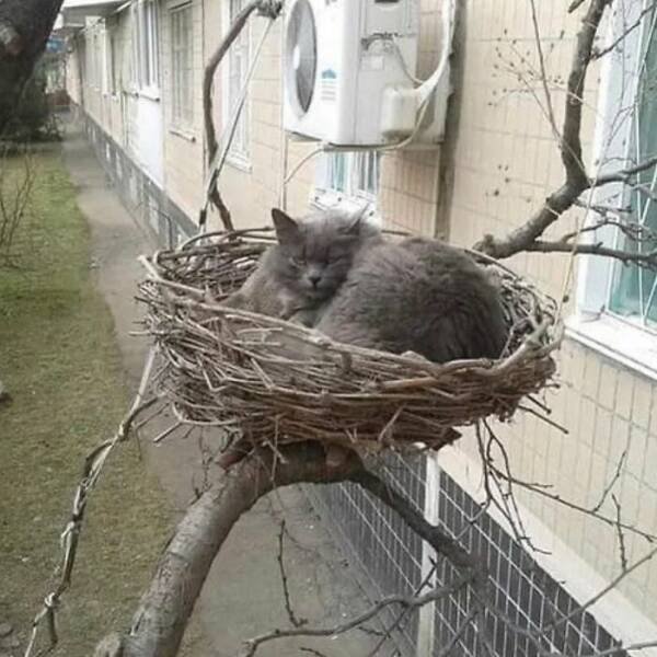 What Is Going On Here? (24 pics)