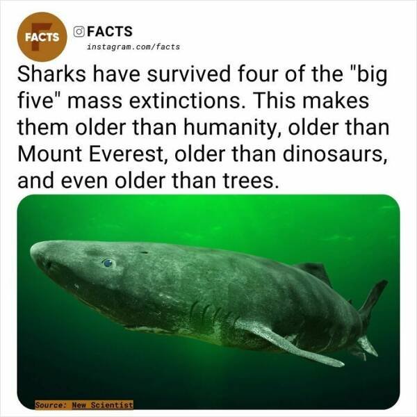 Random Facts (24 pics)