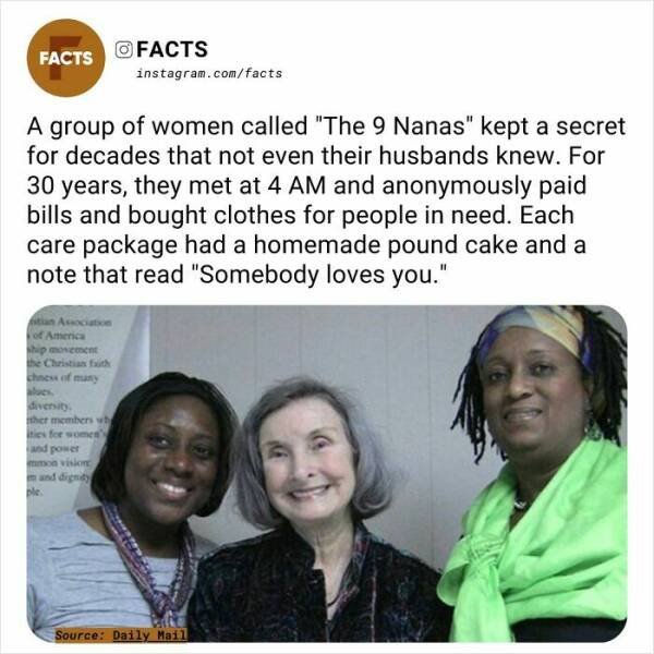 Random Facts (24 pics)