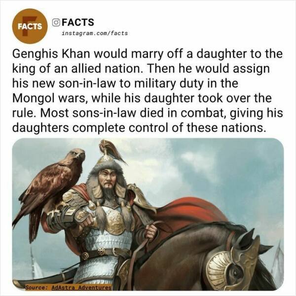 Random Facts (24 pics)