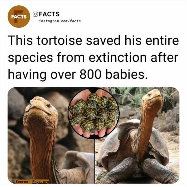Random Facts (24 pics)