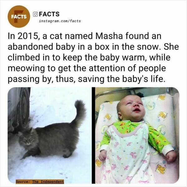 Random Facts (24 pics)