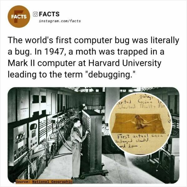 Random Facts (24 pics)