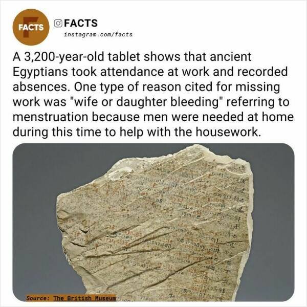 Random Facts (24 pics)