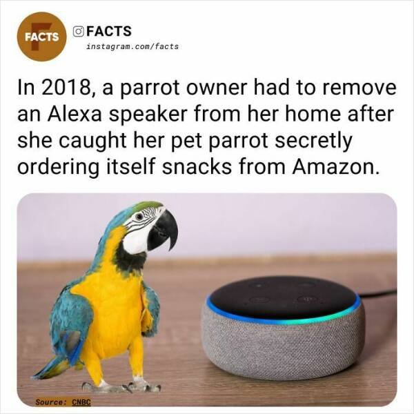 Random Facts (24 pics)