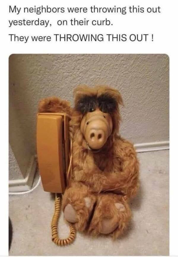 Funny Memes (20 pics)
