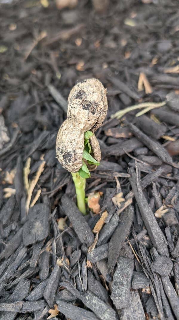 Interesting Finds And Discoveries (25 pics)