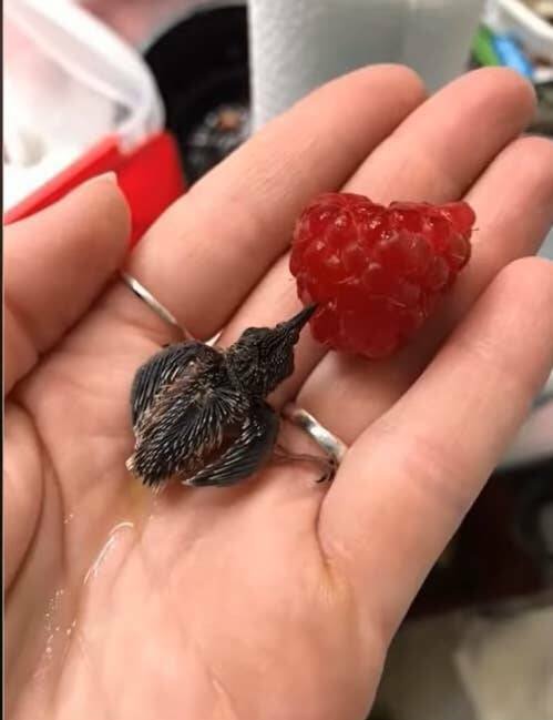 Interesting Finds And Discoveries (25 pics)