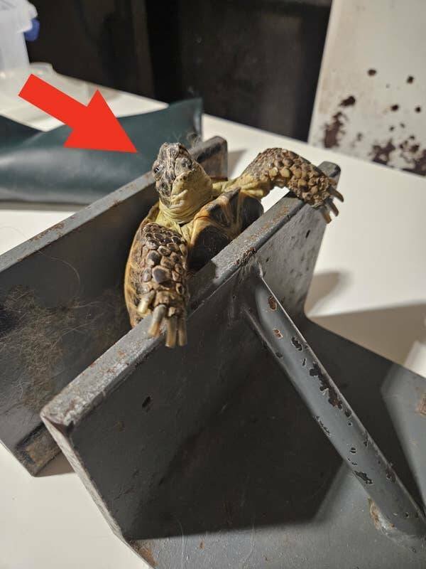 Interesting Finds And Discoveries (25 pics)
