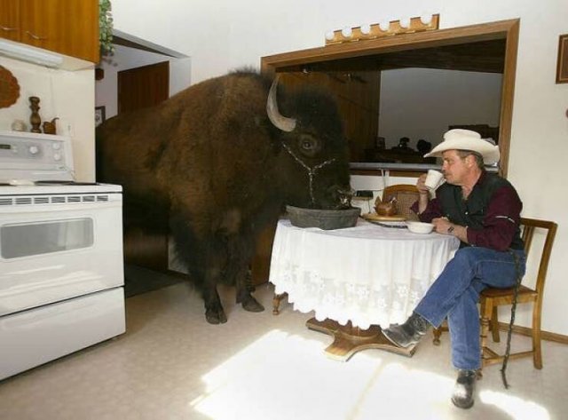 Interesting Finds And Discoveries (25 pics)