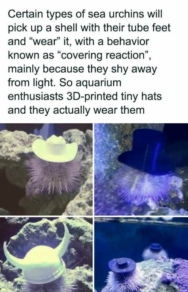 Kind Posts For Good Mood (23 pics)