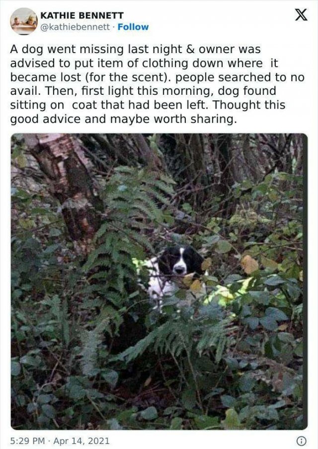 Kind Posts For Good Mood (23 pics)