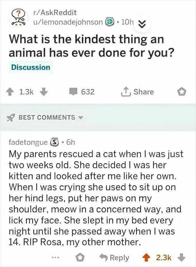 Kind Posts For Good Mood (23 pics)
