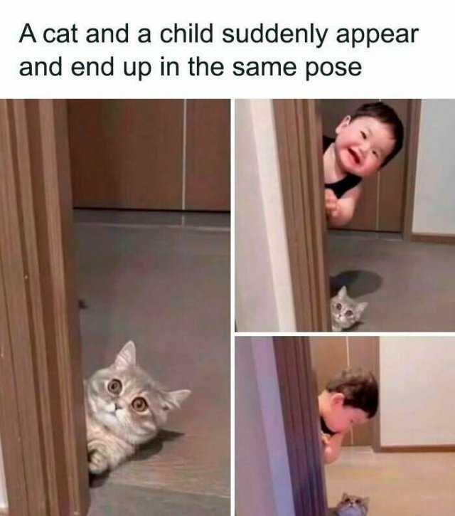 Kind Posts For Good Mood (23 pics)