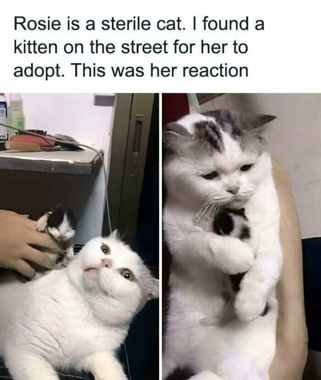 Kind Posts For Good Mood (23 pics)