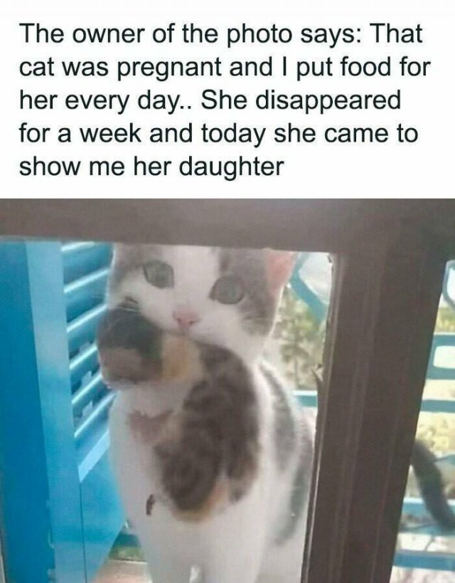 Kind Posts For Good Mood (23 pics)