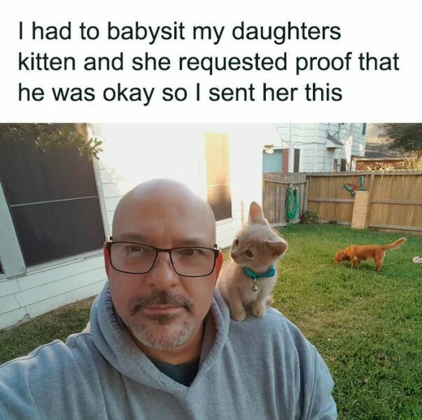 Jokes For Cat Lovers (24 pics)