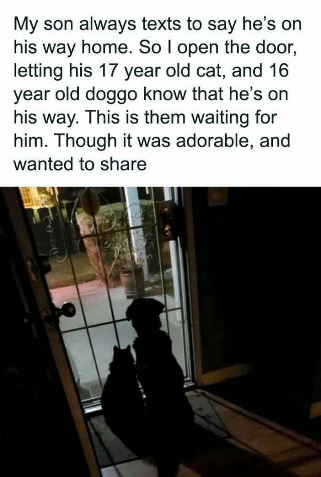 Kind Posts For Good Mood (23 pics)