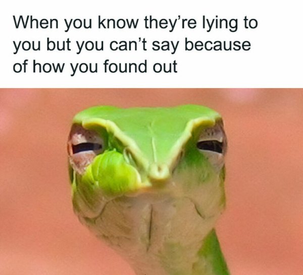 Memes For Women (33 pics)