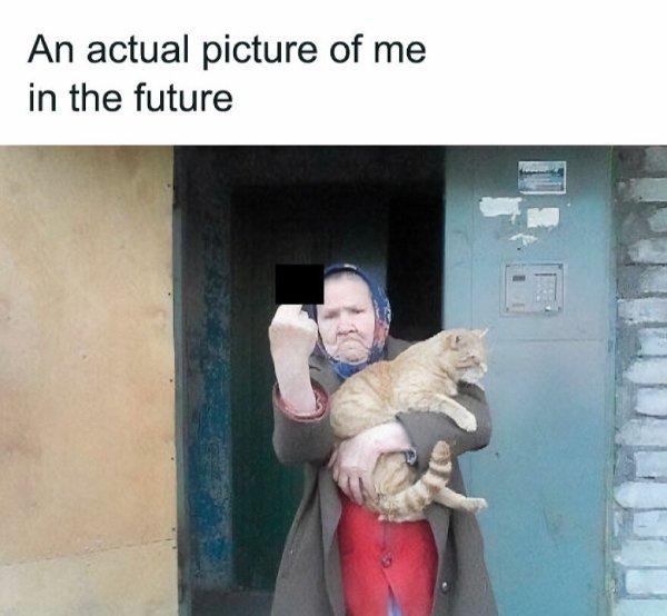 Memes For Women (33 pics)