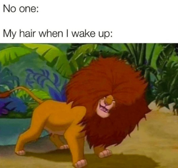 Memes For Women (33 pics)