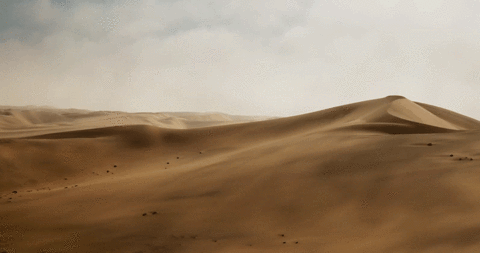 Unexpected Historical Facts (14 gifs) Unexpected Historical Facts (14 gifs)