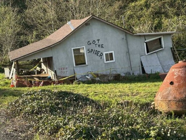 Non-Dangerous Vandalism (22 pics)
