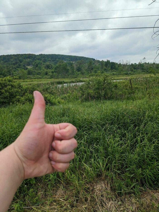 Heartwarming Posts For Good Mood (24 pics)