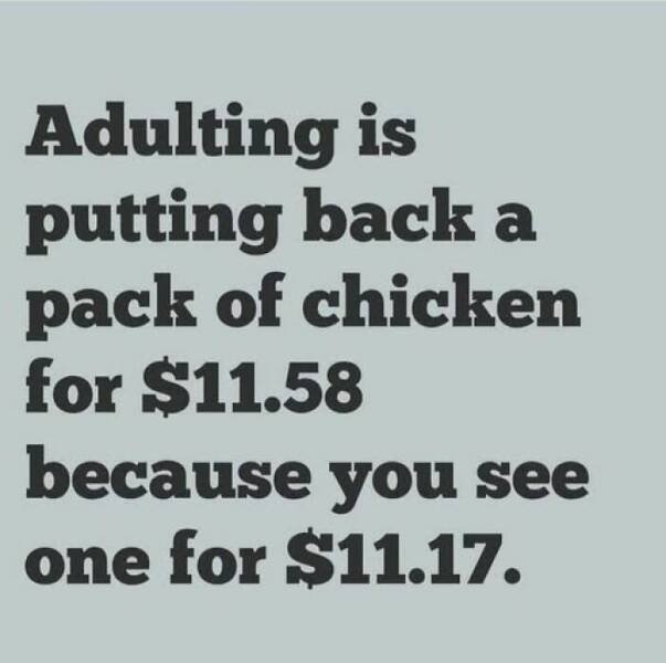 Funny Memes (24 pics)