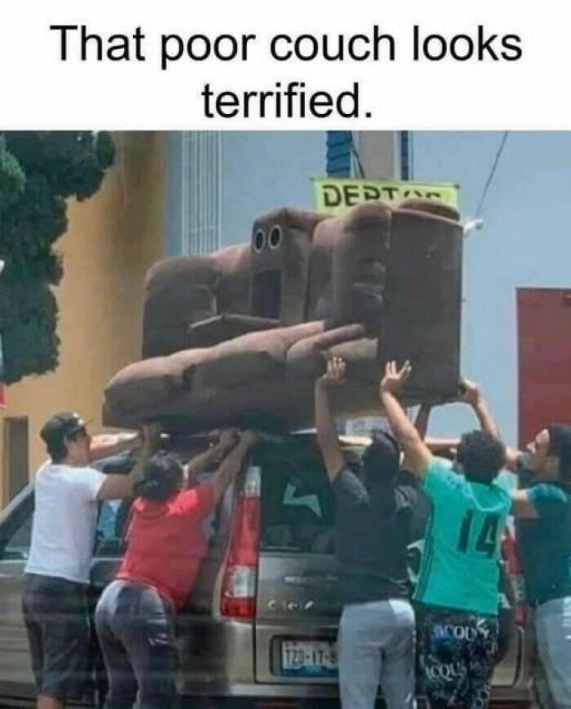 Funny Memes (24 pics)