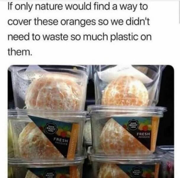 Funny Memes (24 pics)
