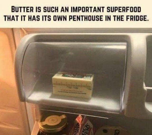 Funny Memes (24 pics)
