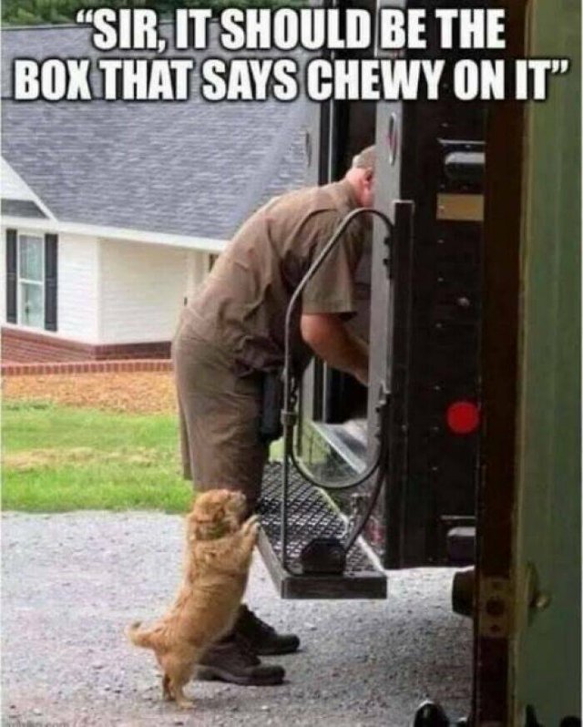 Funny Memes (24 pics)