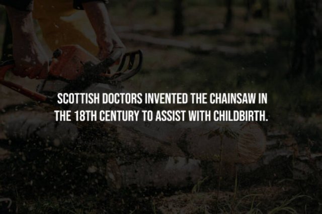 Creepy Facts (15 pics)