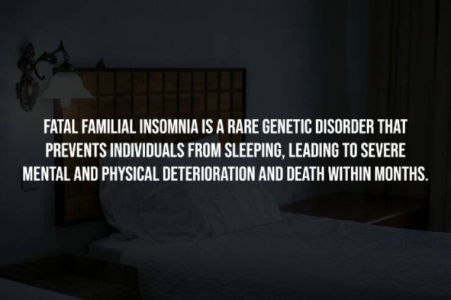 Creepy Facts (15 pics)