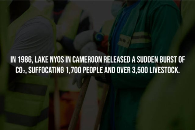 Creepy Facts (15 pics)