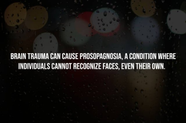Creepy Facts (15 pics)