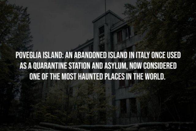 Creepy Facts (15 pics)