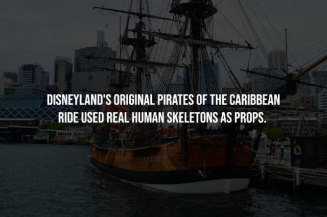 Creepy Facts (15 pics)
