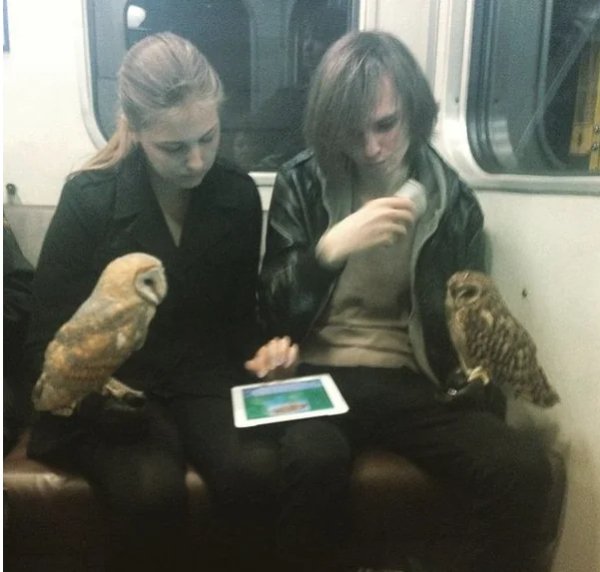 What Is Going On Here? (29 pics)