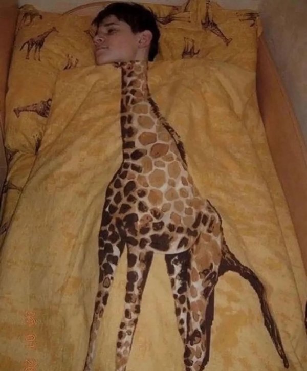What Is Going On Here? (29 pics)