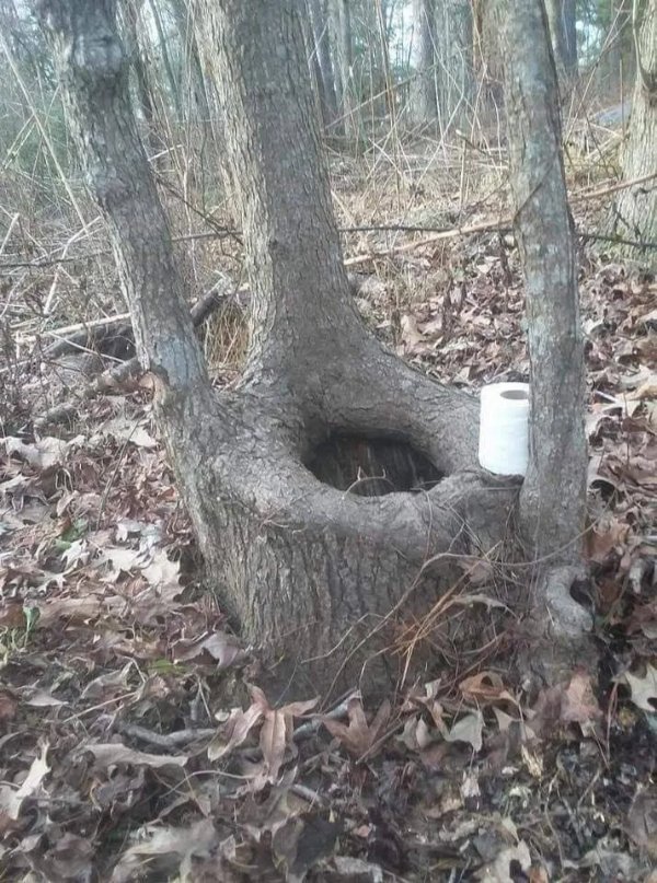 What Is Going On Here? (29 pics)