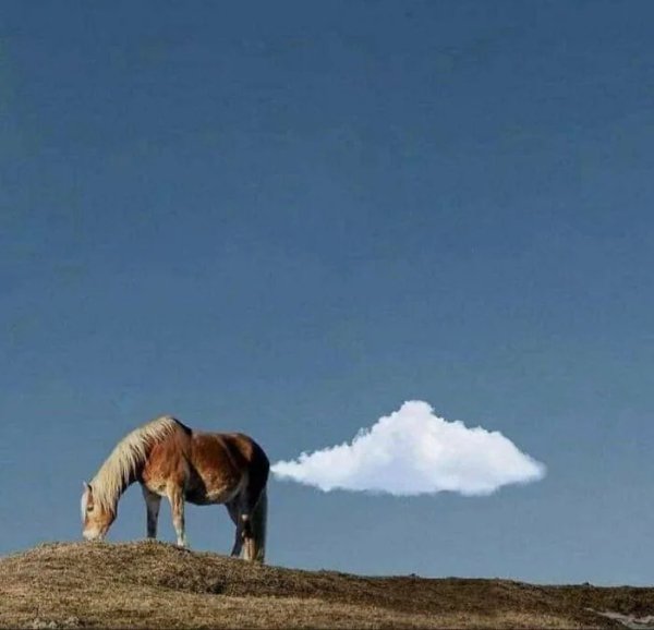 What Is Going On Here? (29 pics)