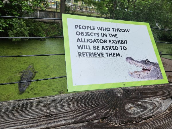 Interesting Finds And Discoveries (24 pics)
