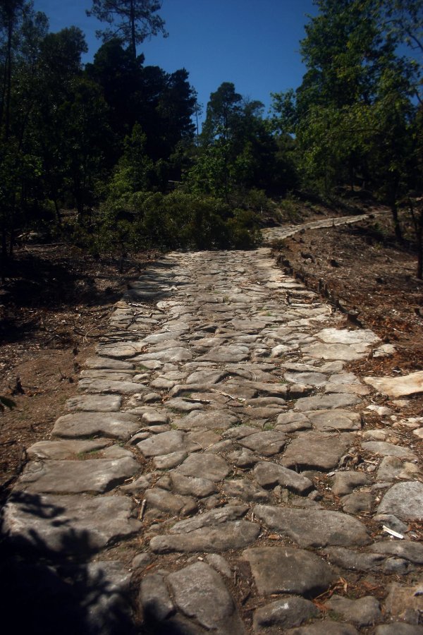Interesting Finds And Discoveries (24 pics)