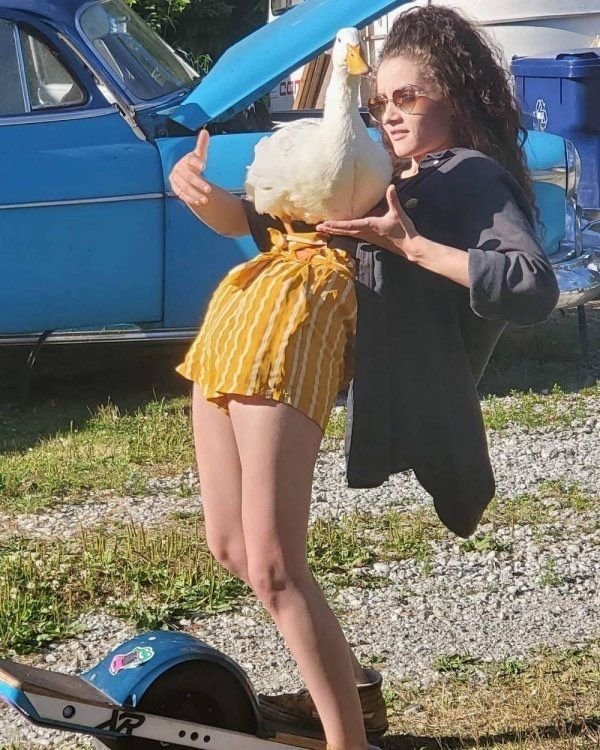 What Is Going On Here? (29 pics)