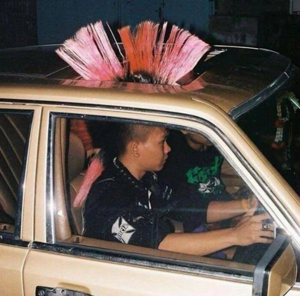 What Is Going On Here? (29 pics)