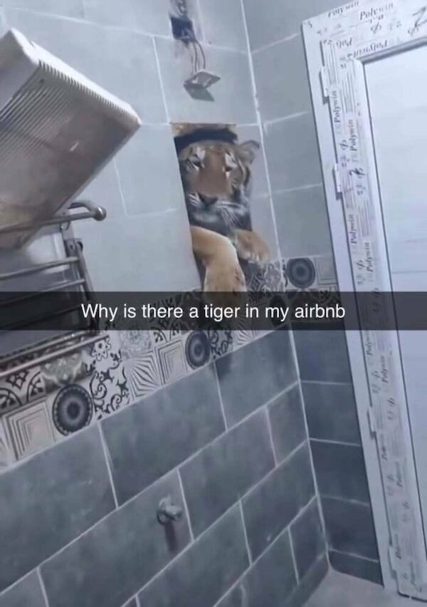 What Is Going On Here? (19 pics)