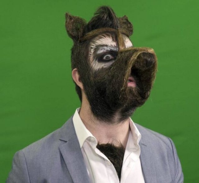 What Is Going On Here? (19 pics)